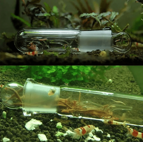Skrw Armadilha Para Planaria Com 2 Entradas 12cm Pl-145